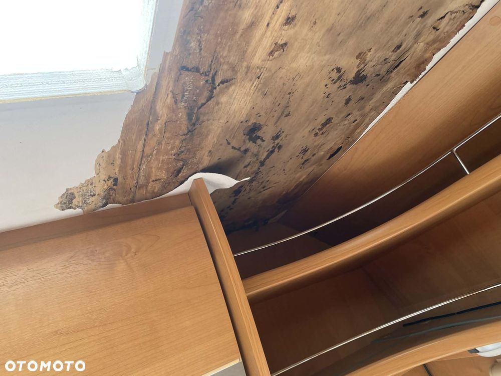 Fiat Ducato Roller Team 255P - 35