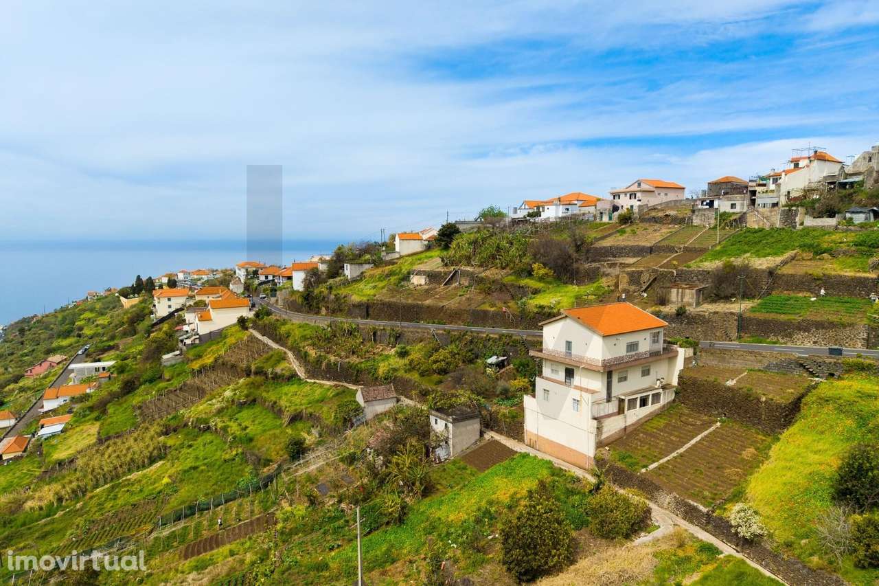 Terreno barato na calheta - Grande imagem: 4/14
