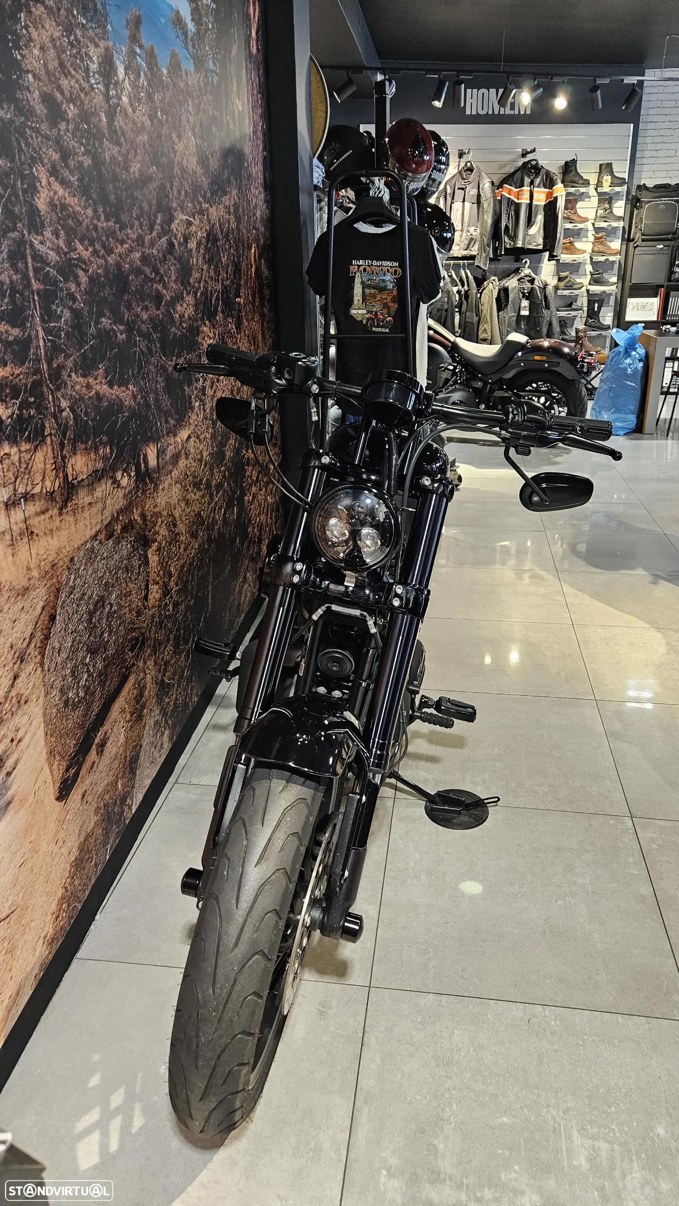 Harley-Davidson Sportster Roadster 1200 - 5