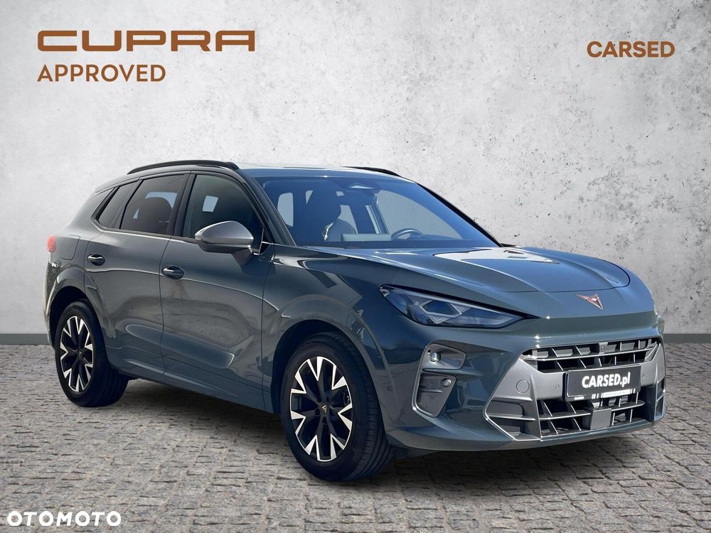 Cupra Terramar - 7