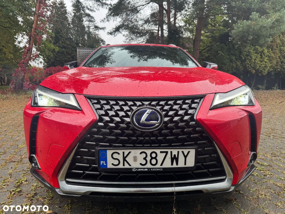 Lexus UX 250h GPF Business Edition 2WD - 31