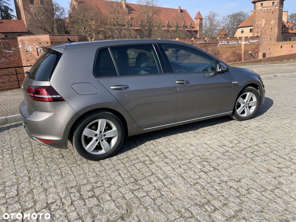 Volkswagen Golf - 5