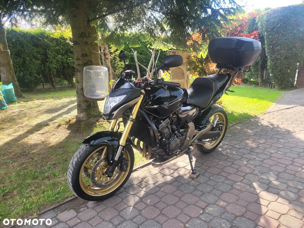Honda Hornet - 19