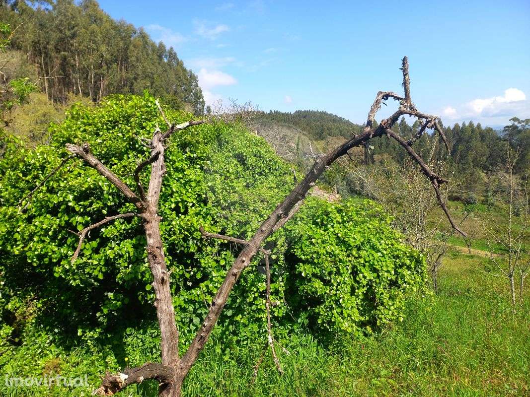 Moradia T0 para venda - Grande imagem: 4/9