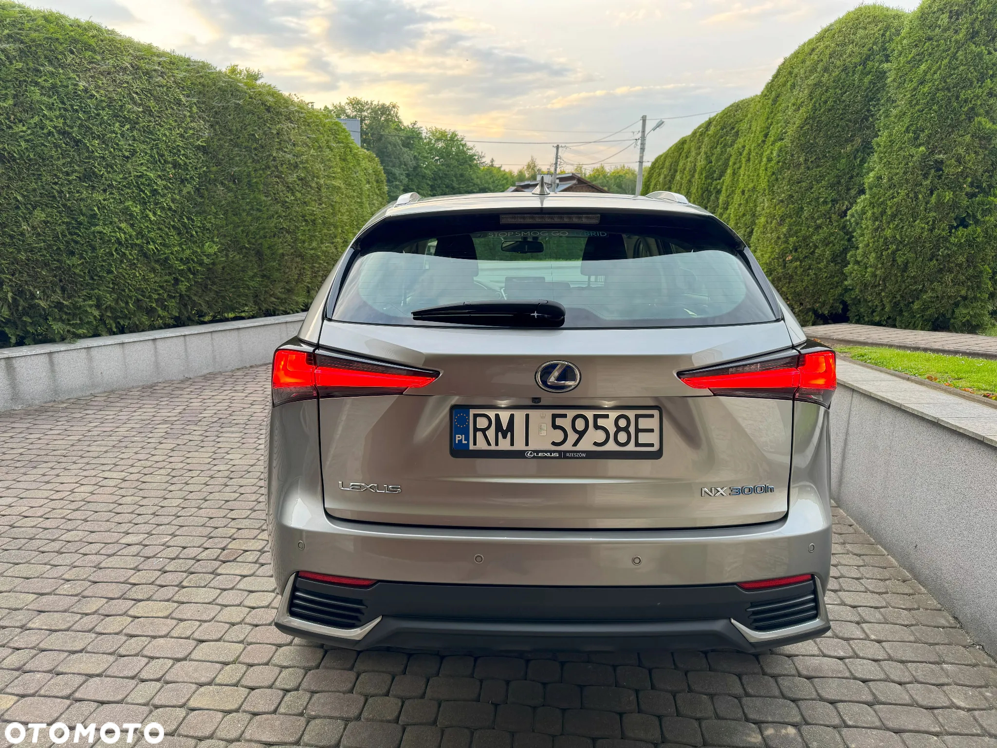 Lexus NX - 9