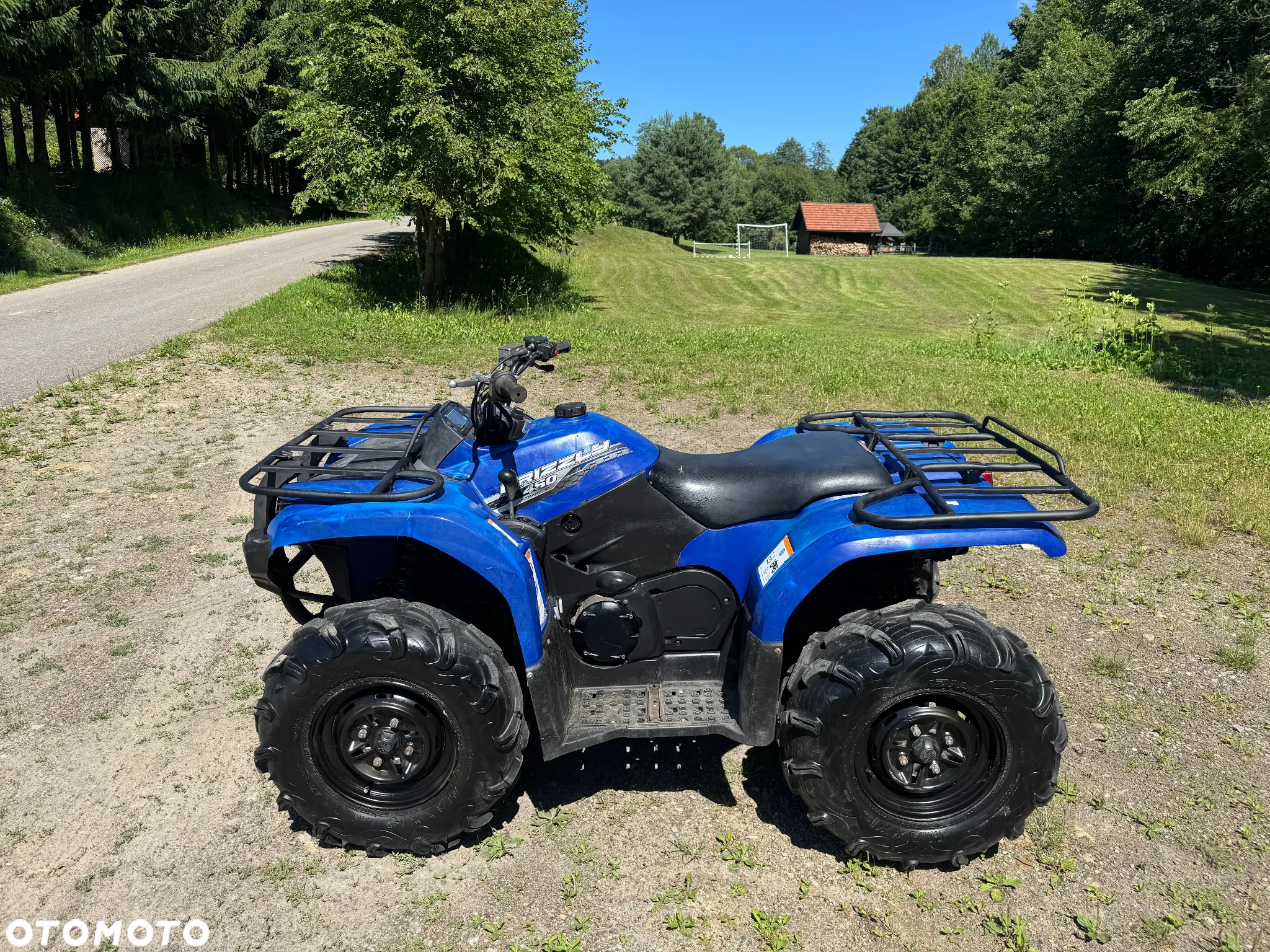 Yamaha Grizzly