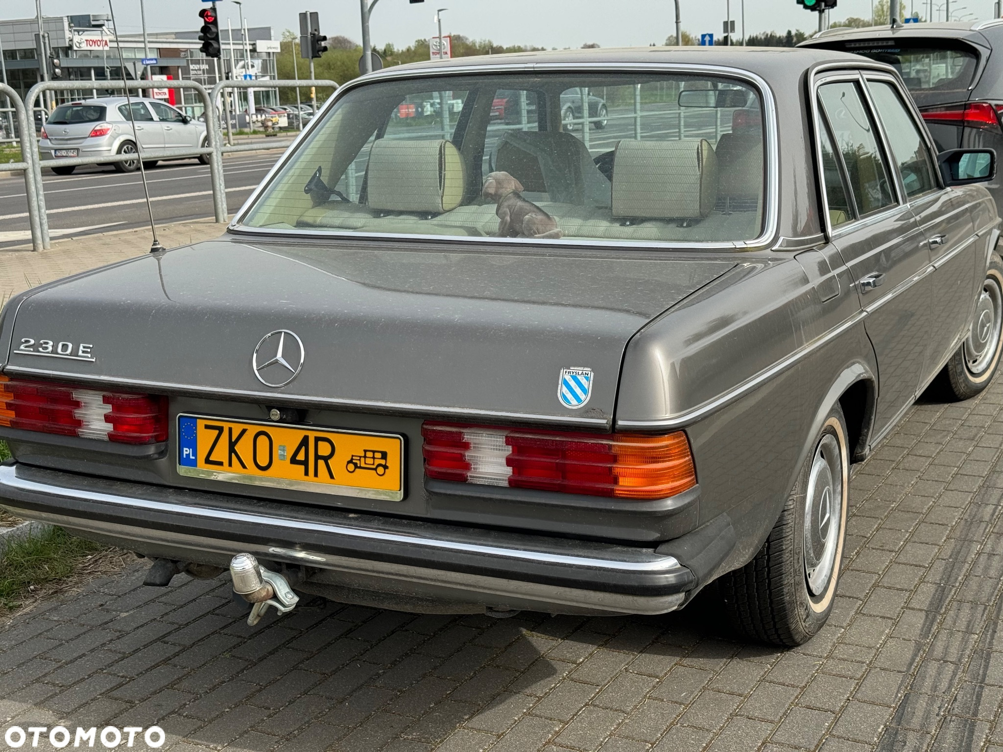 Mercedes-Benz W123 - 2