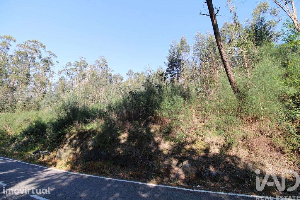 Terreno Agrícola em Lemenhe, Mouquim e Jesufrei - Grande imagem: 4/8