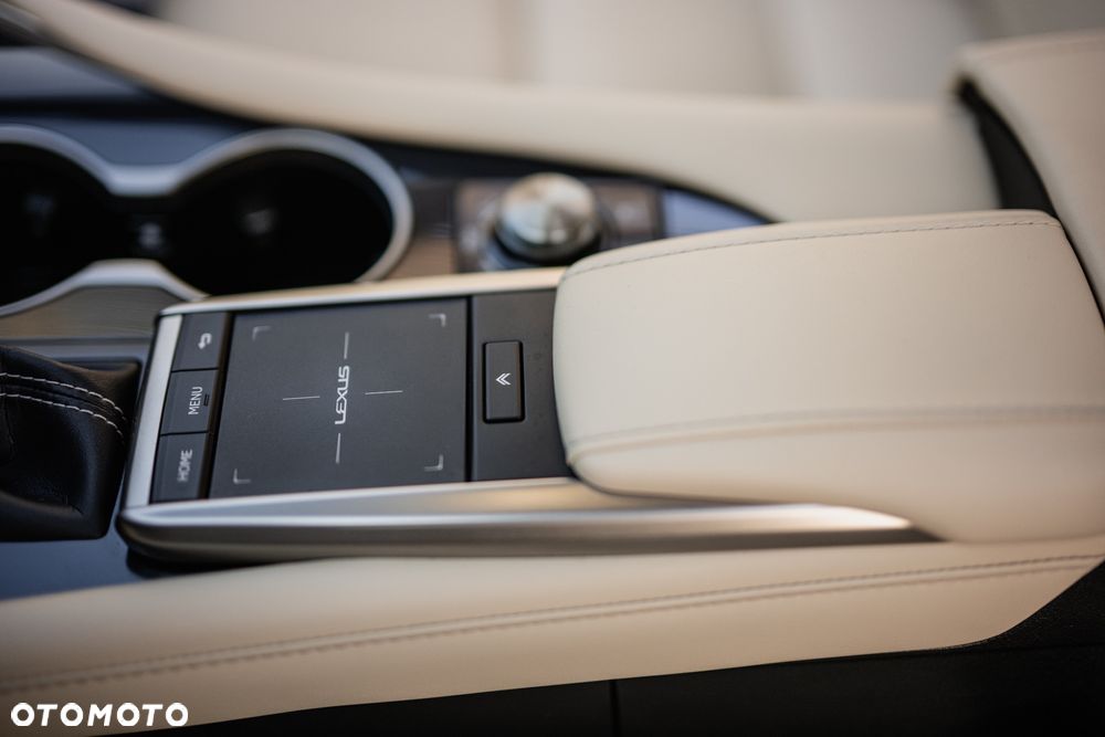 Lexus RX 300 Business Edition - 6