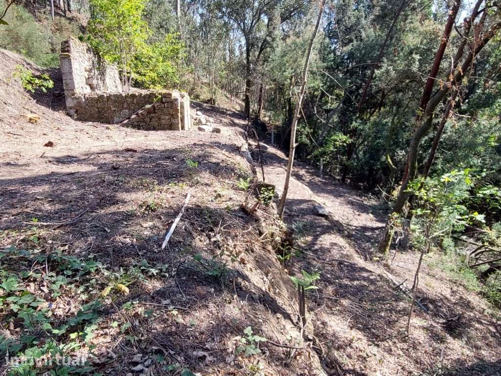 Terreno c/ Ruína em Pedra - Vilela - Grande imagem: 2/13