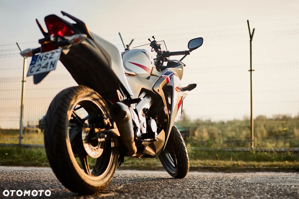 Honda CBR - 13