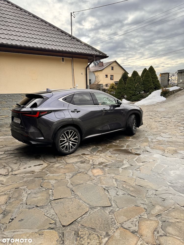 Lexus NX 450h+ Omotenashi AWD - 6