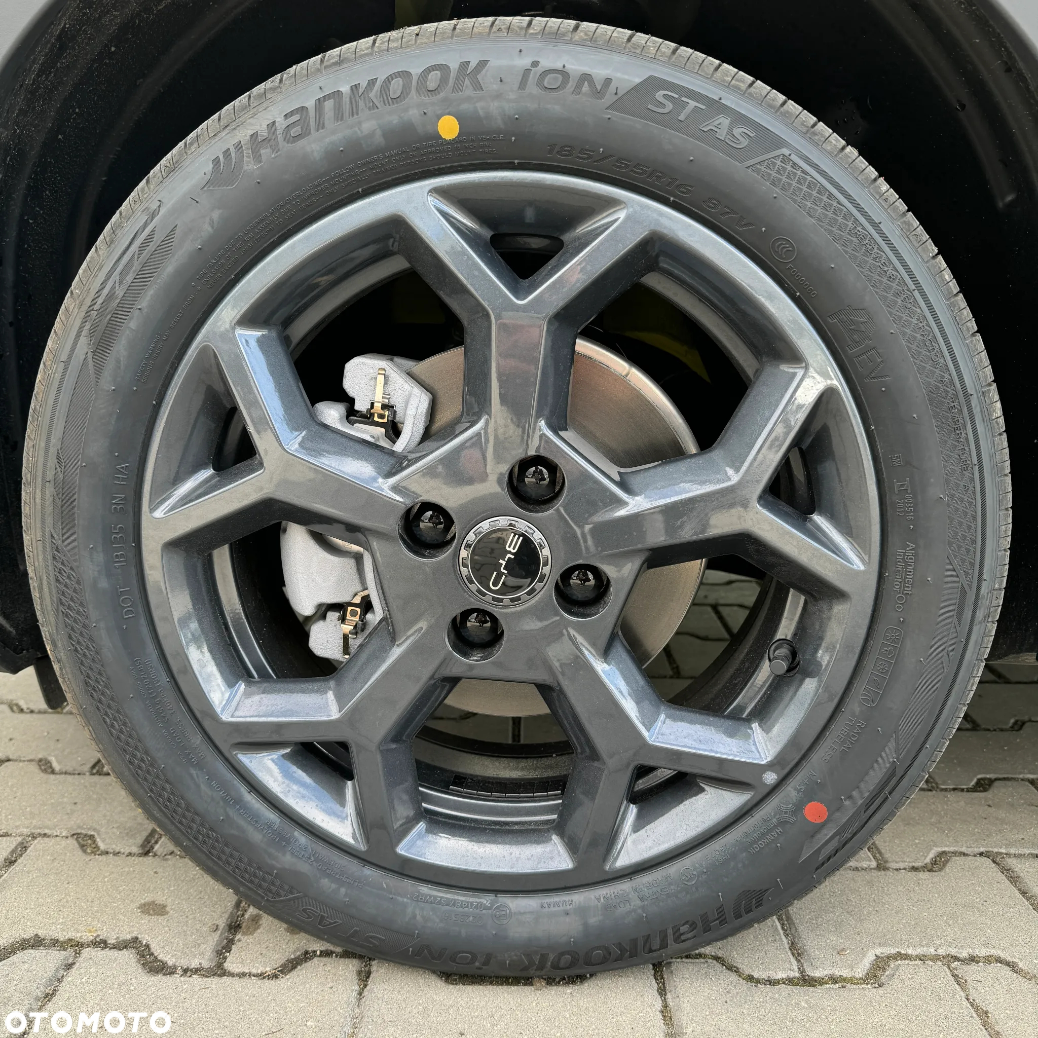 BYD Dolphin Surf - 10