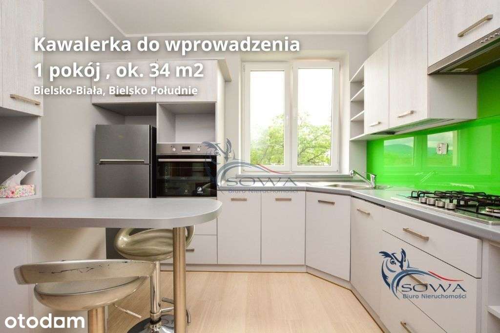 Kawalerka po remoncie z widokiem na park