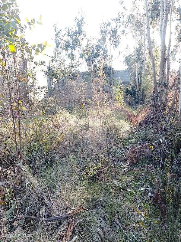 Terreno  para venda - Grande imagem: 4/6