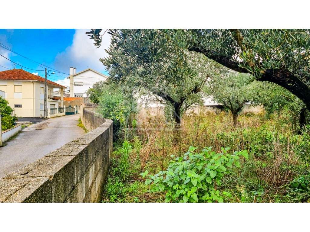 Terreno com Viabilidade de Construção - 456 m² | Próximo de Leiria - Grande imagem: 2/23