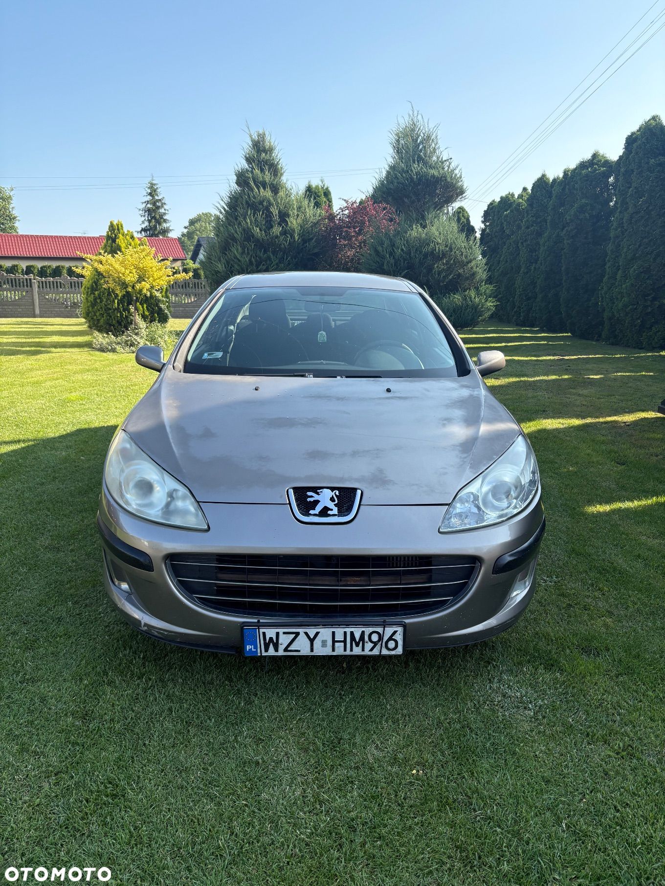 Peugeot 407 - 1