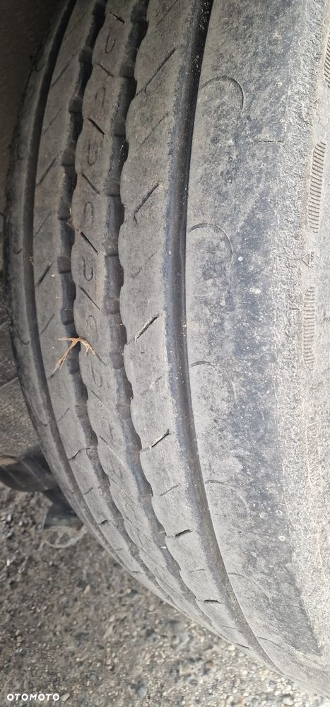 Schmitz Cargobull - 13