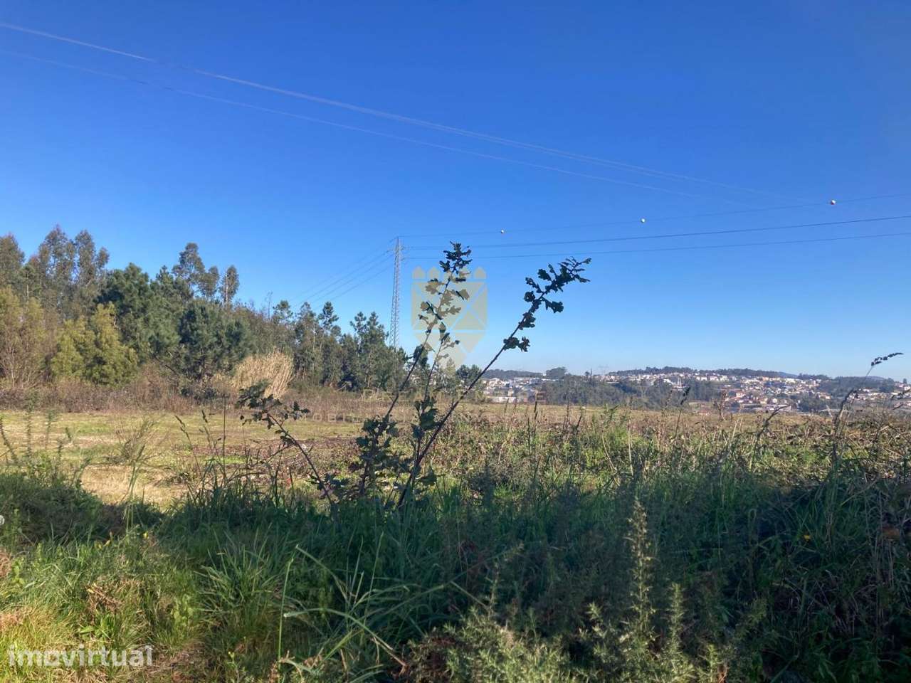 Terreno Industrial – 11.100 m² - Vilela - Grande imagem: 2/12