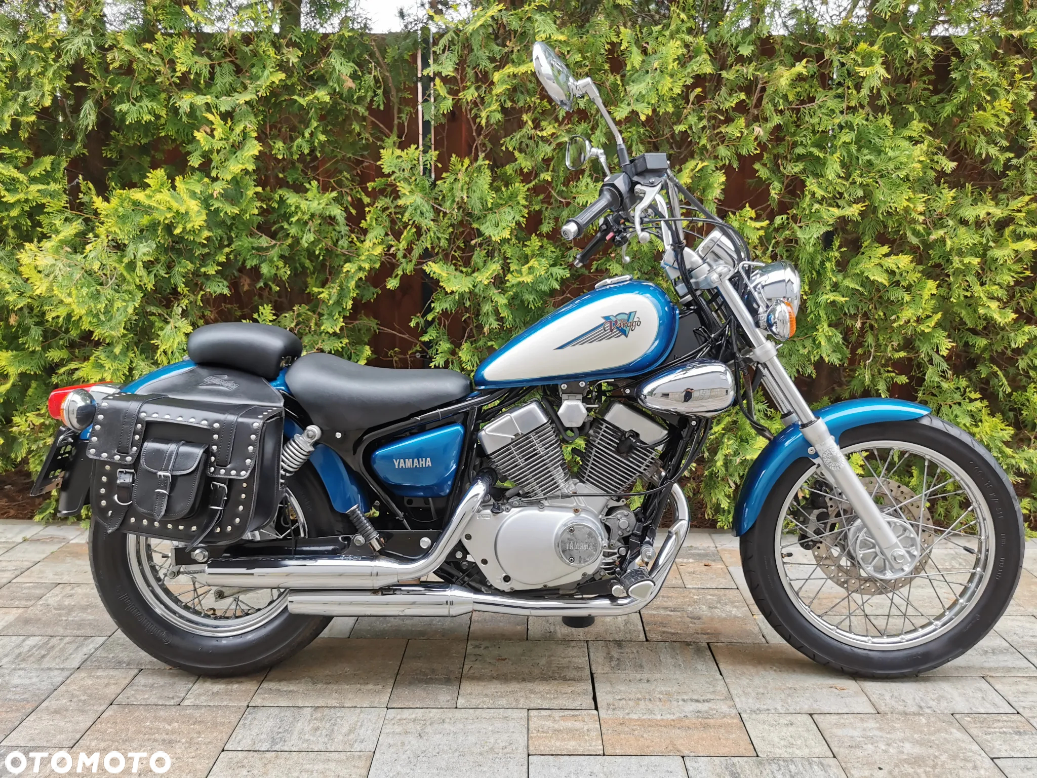 Yamaha Virago - 2