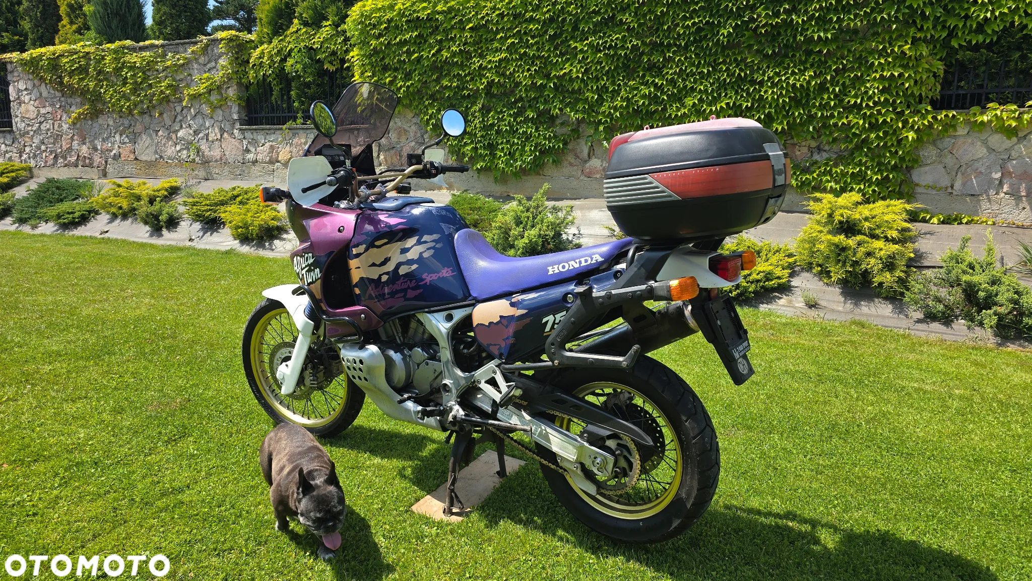 Honda XRV