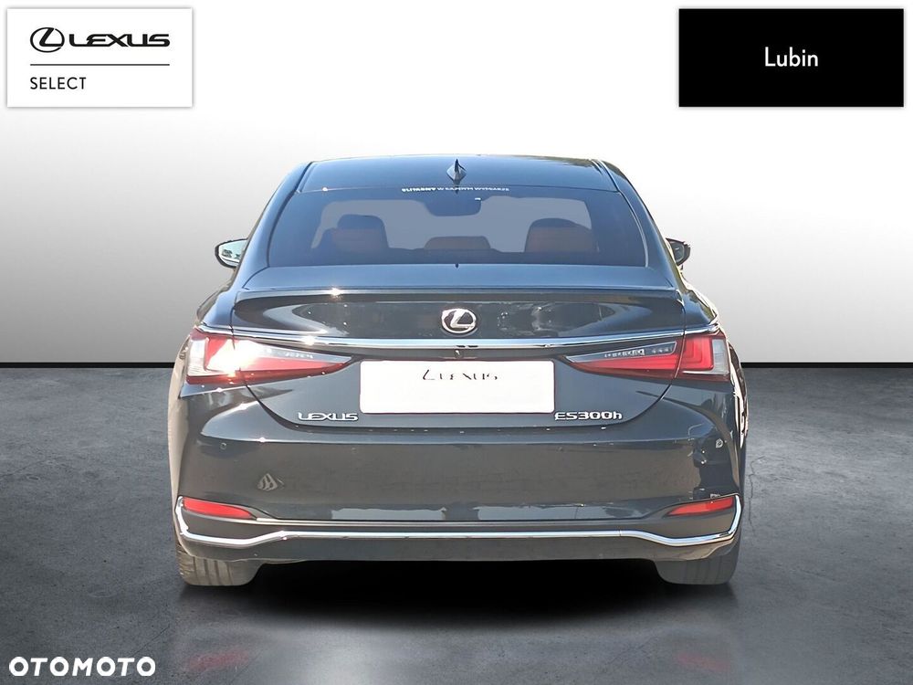 Lexus ES 300h Omotenashi - 5