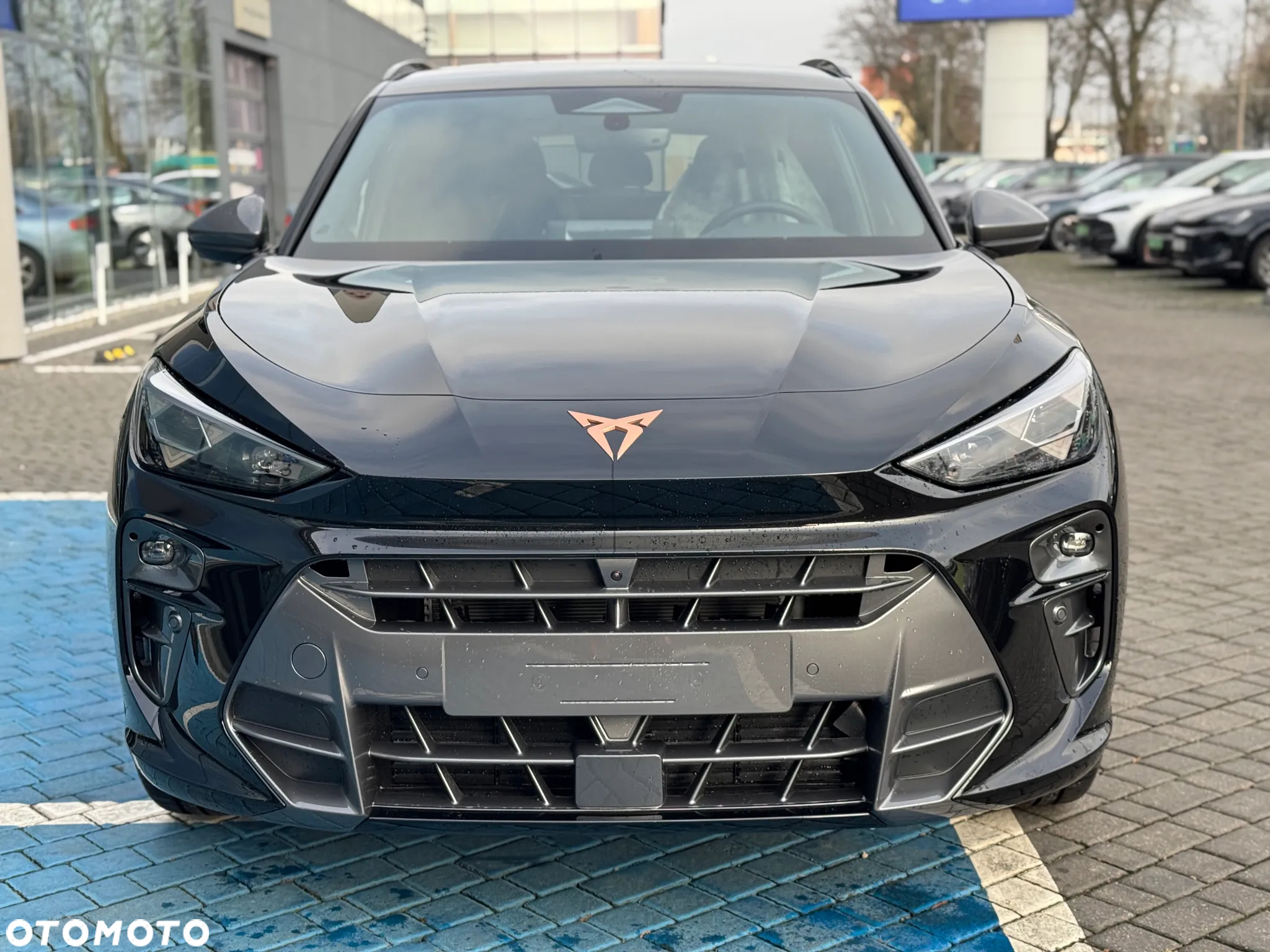 Cupra Terramar 2.0 TSI 4Drive VZ DSG - 7
