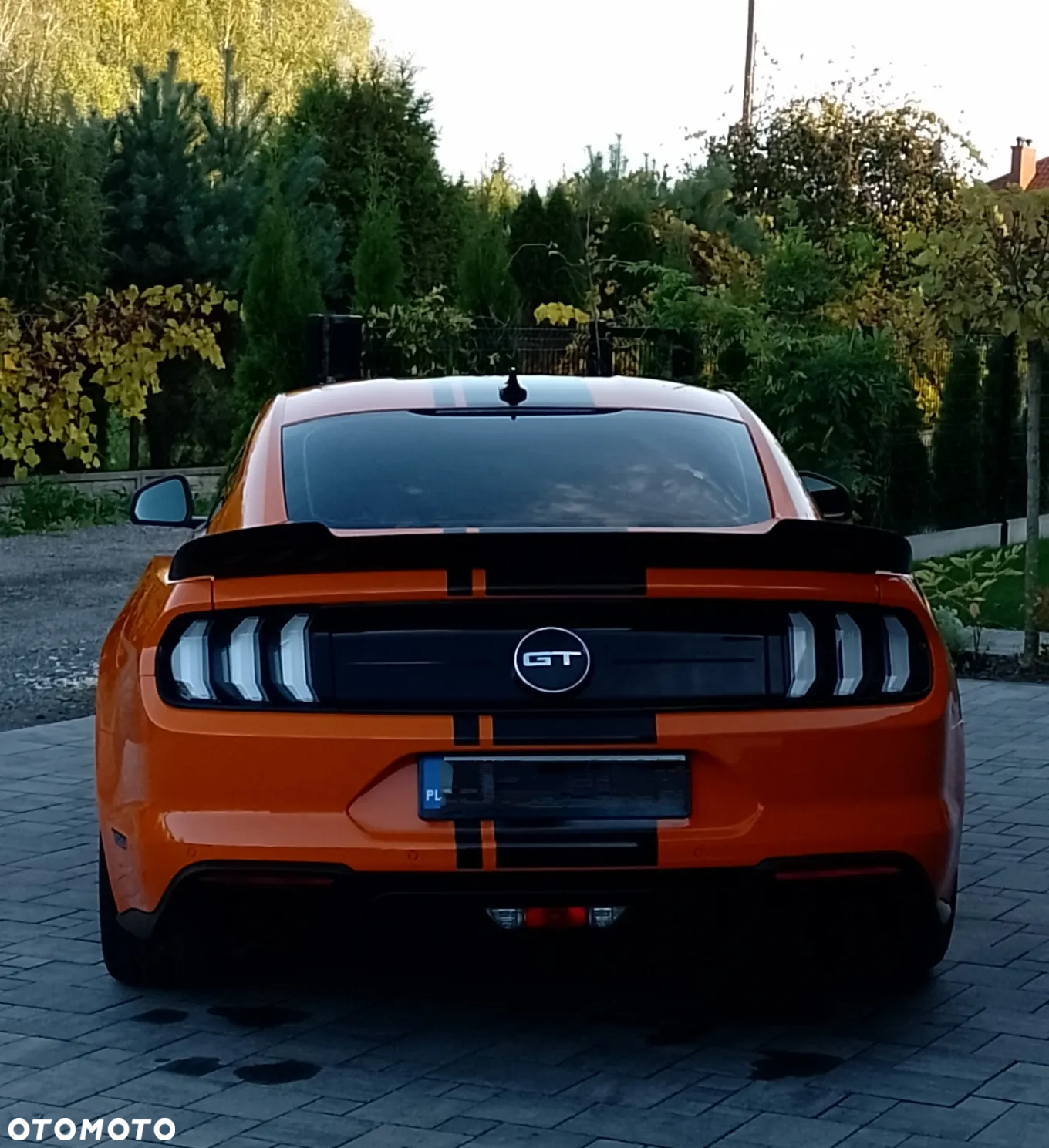 Ford Mustang - 12