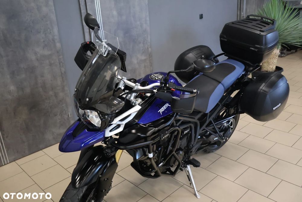 Triumph Tiger - 17