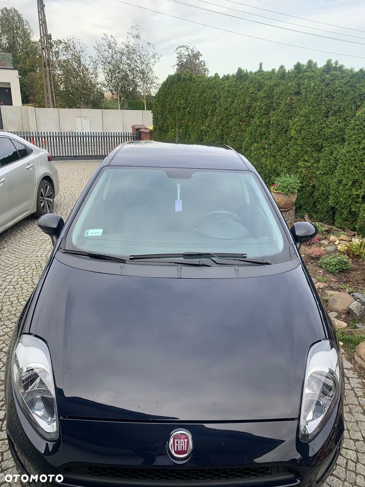 Fiat Punto - 5