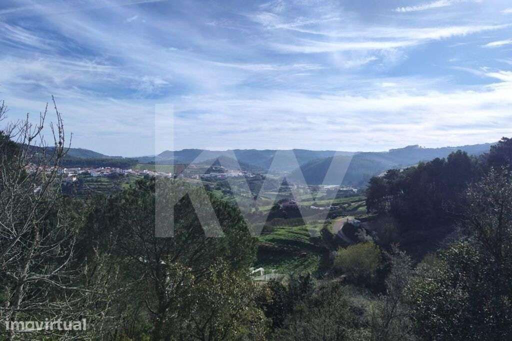 Terreno rústico florestal com vista deslumbrante - Grande imagem: 4/31
