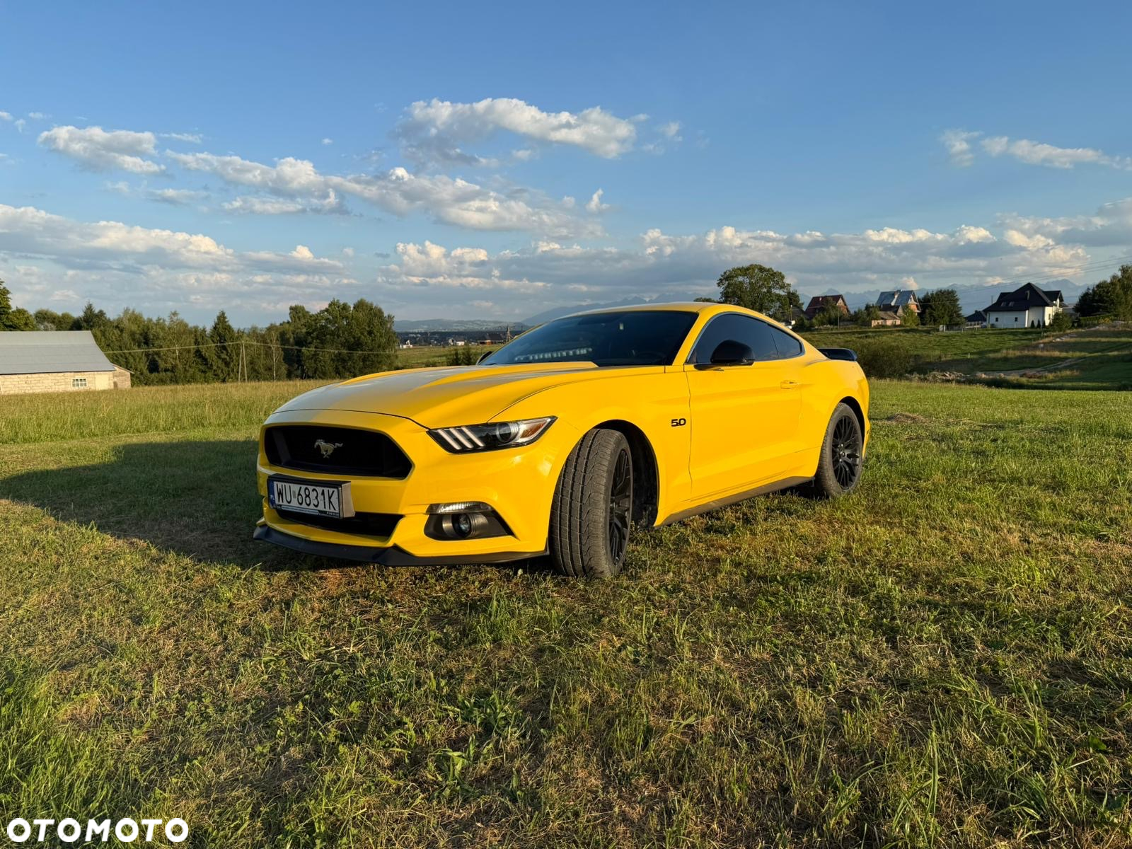 Ford Mustang 5.0 V8 GT - 2