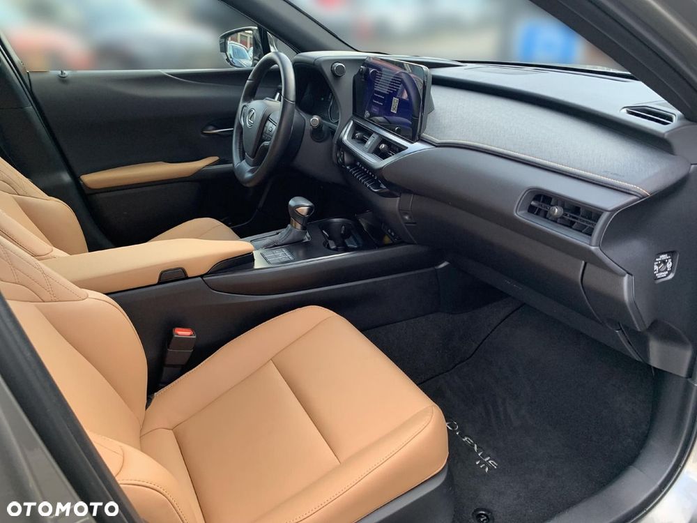 Lexus UX 250h GPF F Sport Design 2WD - 13