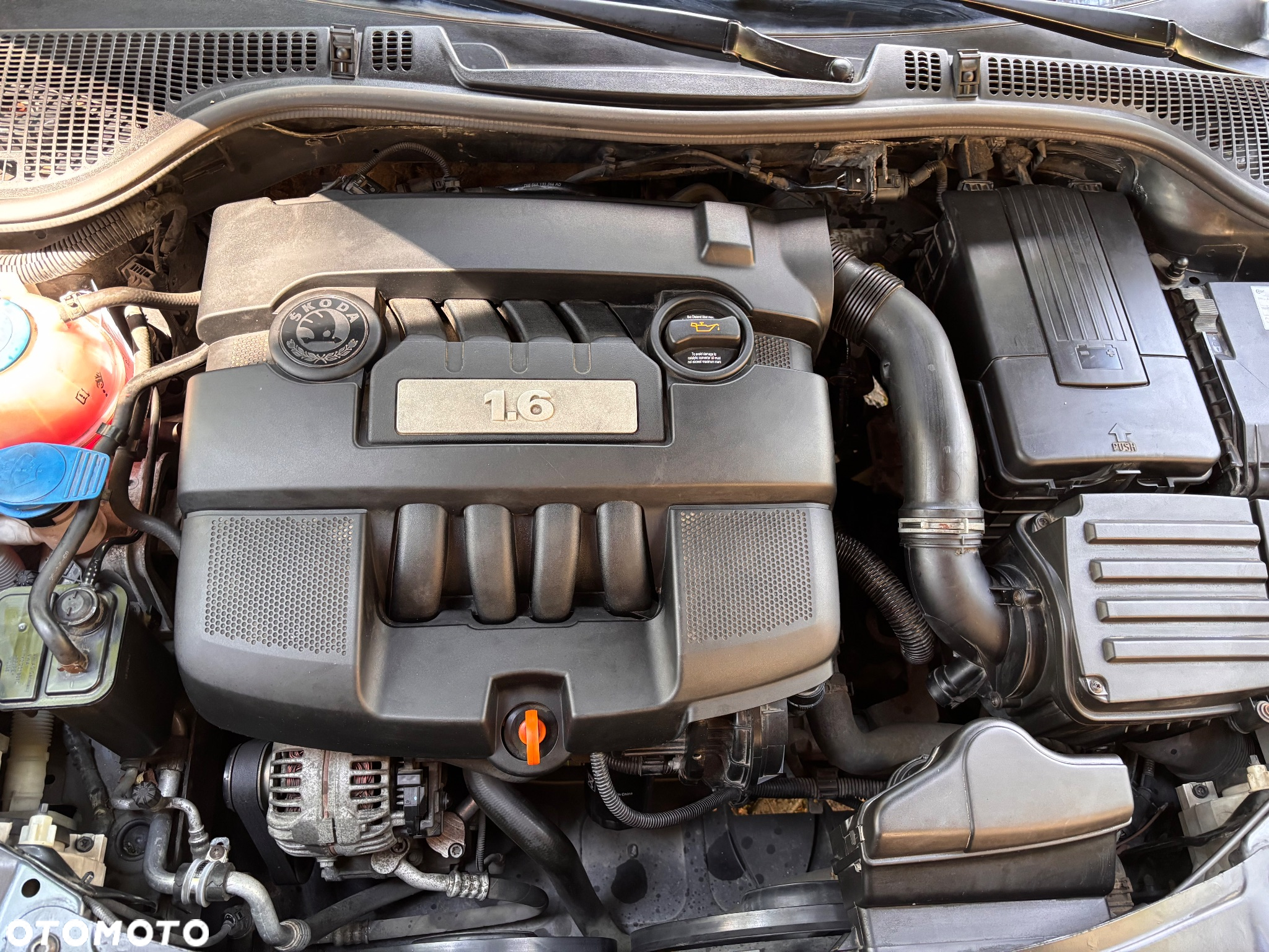 Skoda Octavia - 5