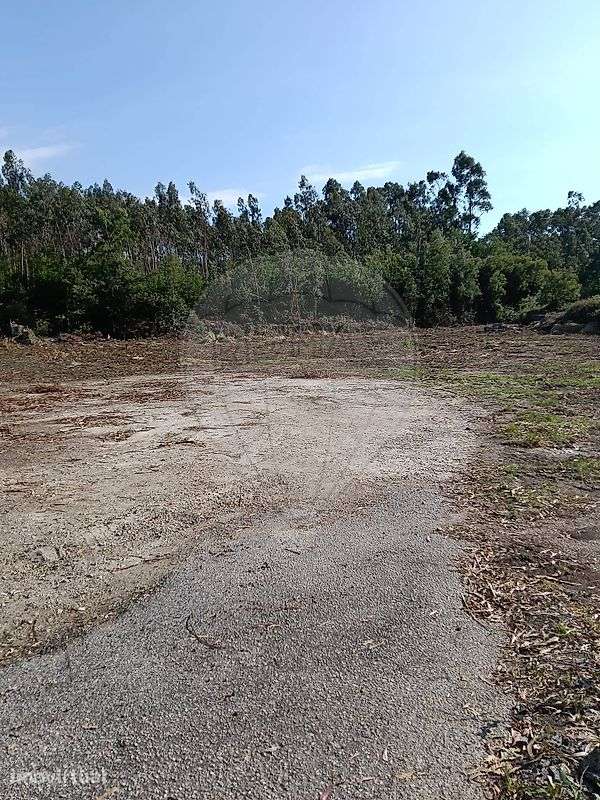 Terreno  para arrendamento - Grande imagem: 4/7