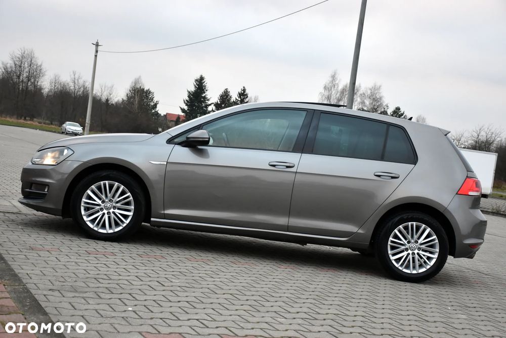 Volkswagen Golf 1.6 TDI BlueMotion Technology Cup - 15