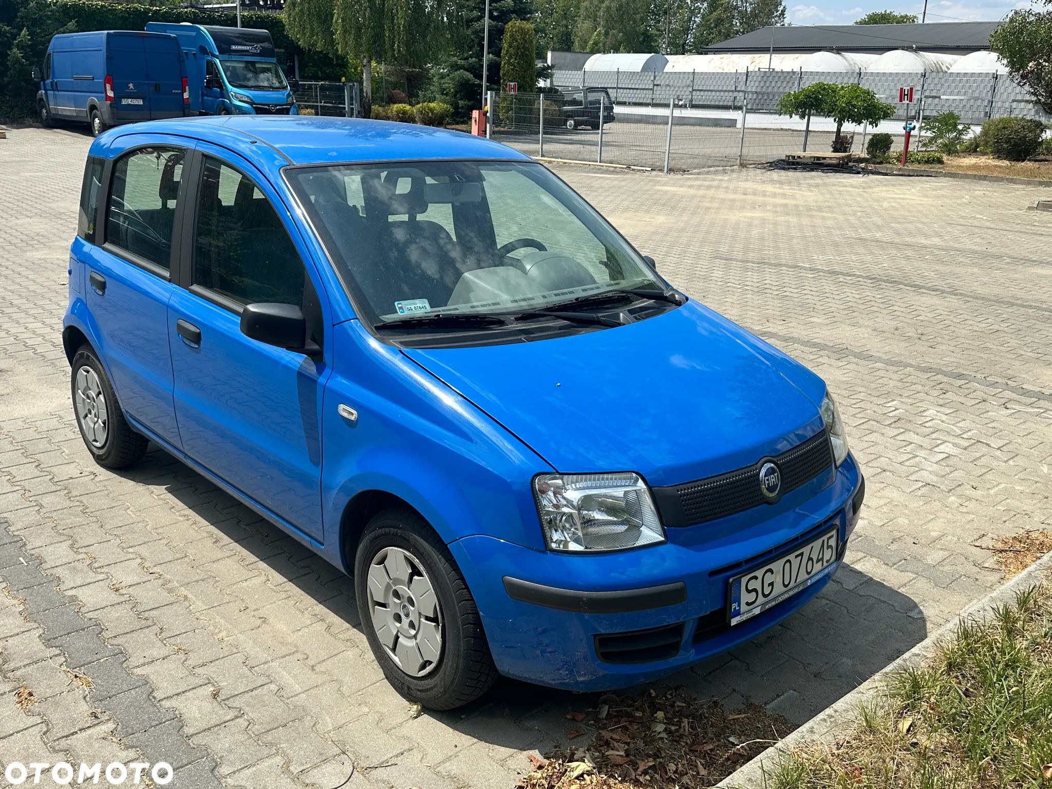 Fiat Panda - 1