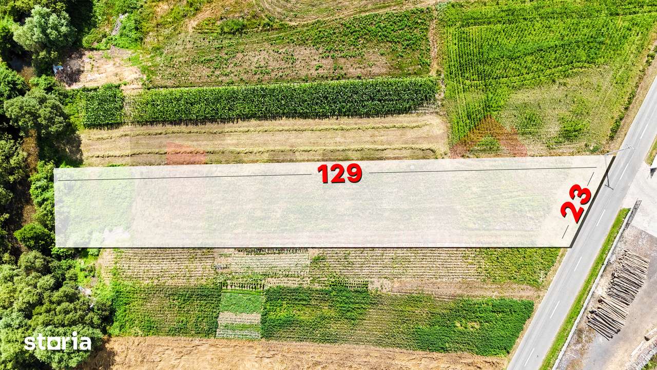 Oportunitate: Teren 2374 mp | Sadu | Deschidere la DJ | Asfalt | VIDEO - Imagine principală: 2/8