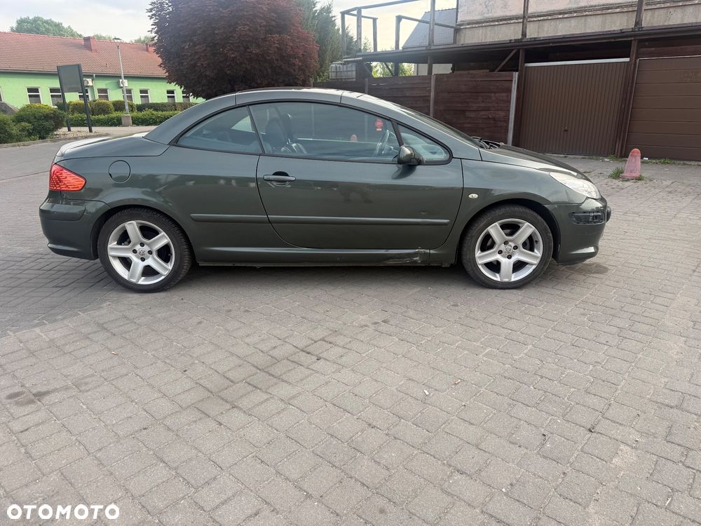 Peugeot 307 CC 2.0 - 9