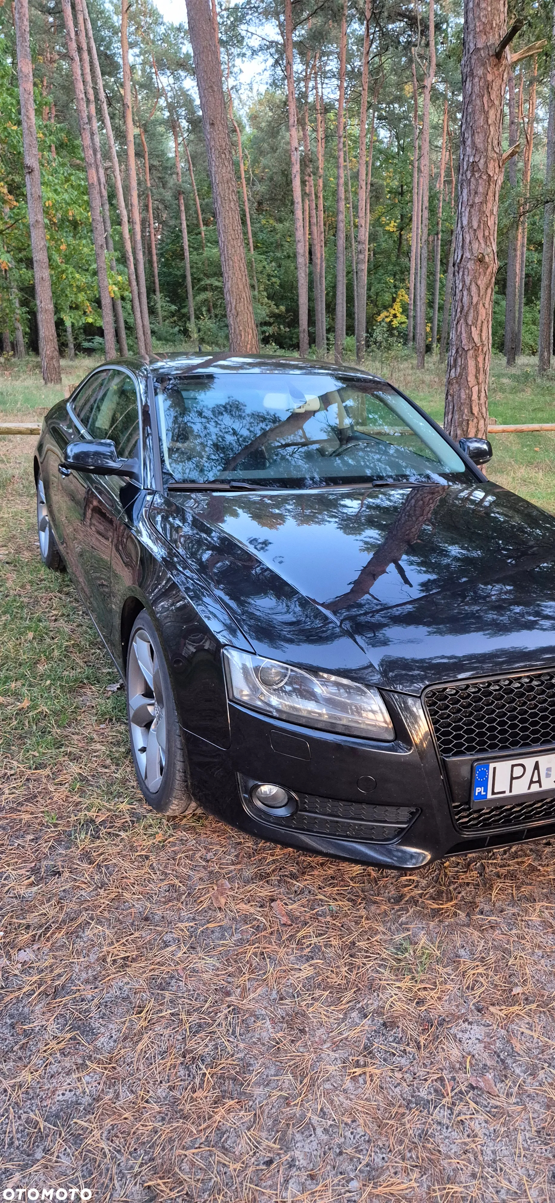 Audi A5 - 7