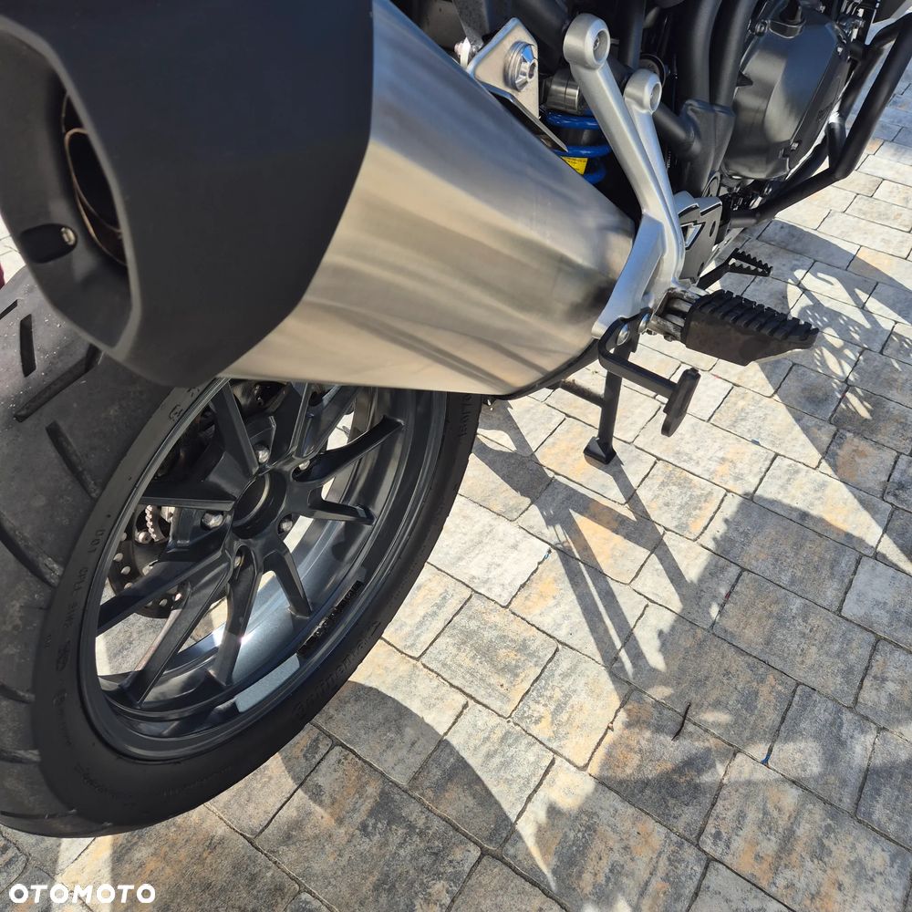 Triumph Tiger - 10