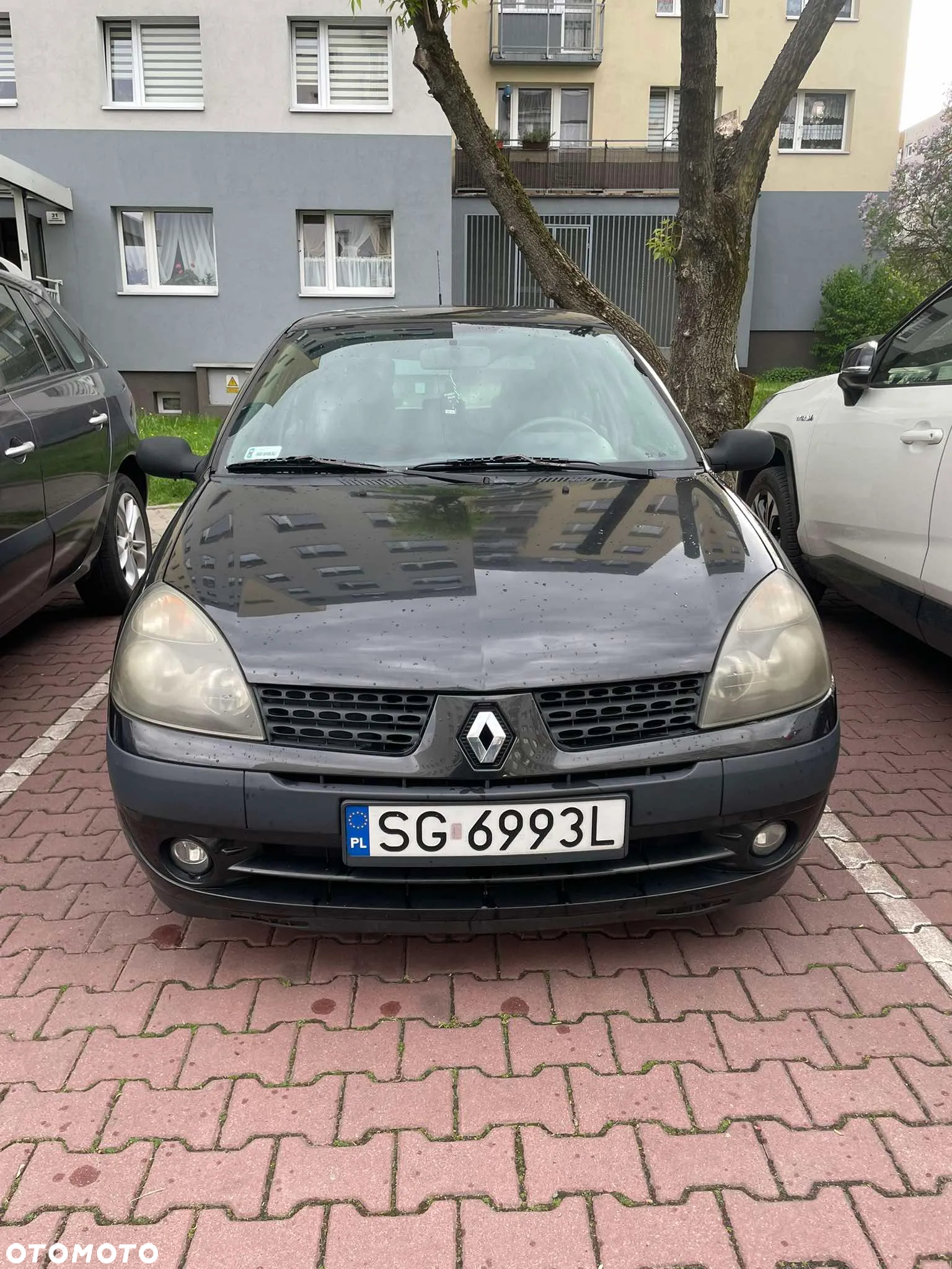 Renault Clio - 29