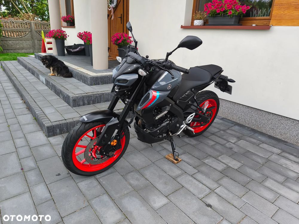 Yamaha MT - 6