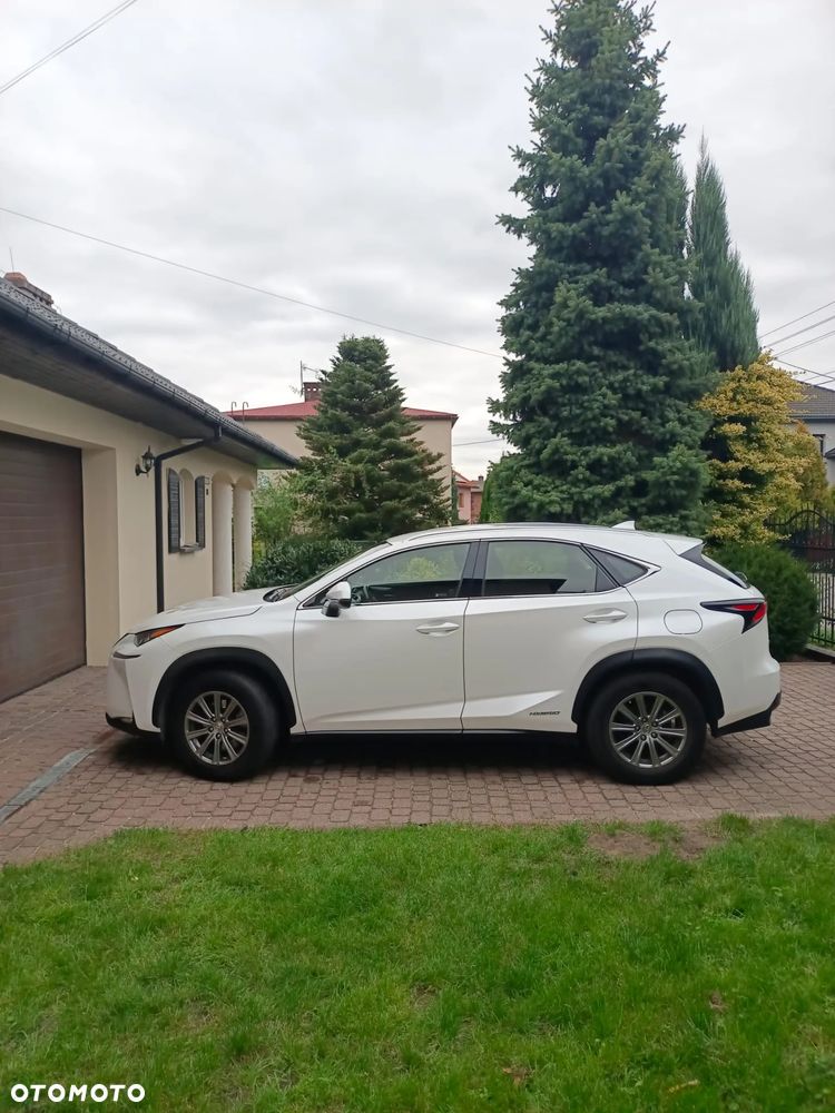 Lexus NX 300h - 3