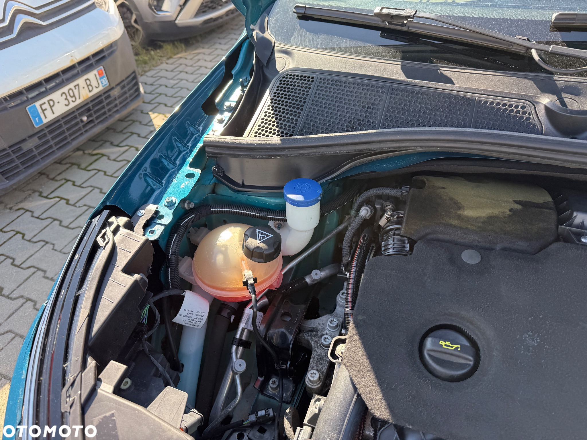 Citroën C4 Cactus 1.5 BlueHDi Shine EAT6 - 21