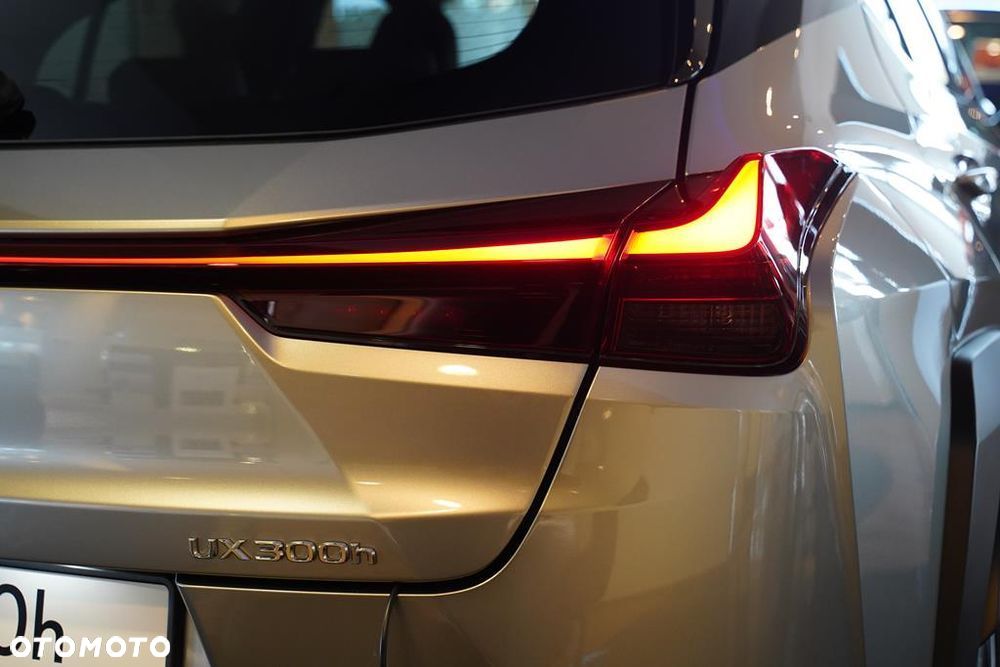 Lexus UX - 12
