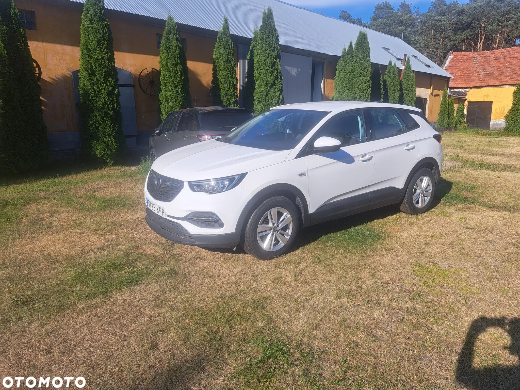 Opel Grandland X 1.6 CDTI Innovation S&S - 14