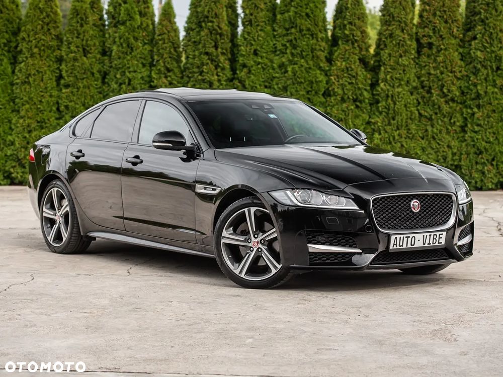 Jaguar XF P250 R-Dynamic BLACK - 1