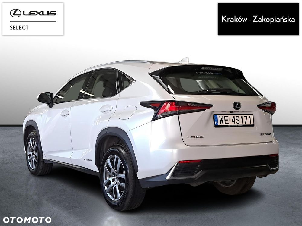 Lexus NX 300h Business Edition AWD - 8