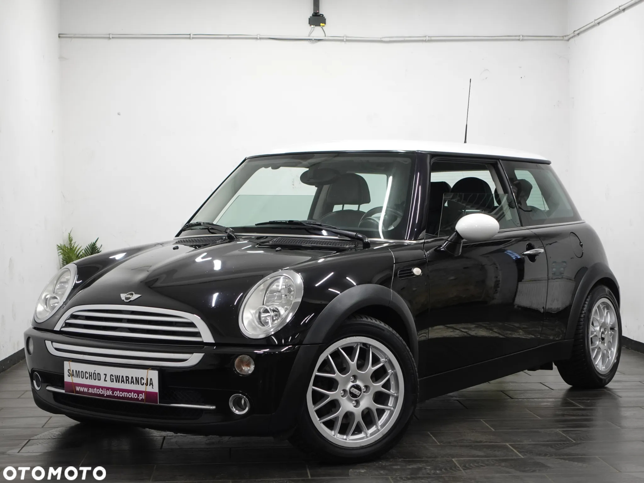 MINI Cooper pepper - 16
